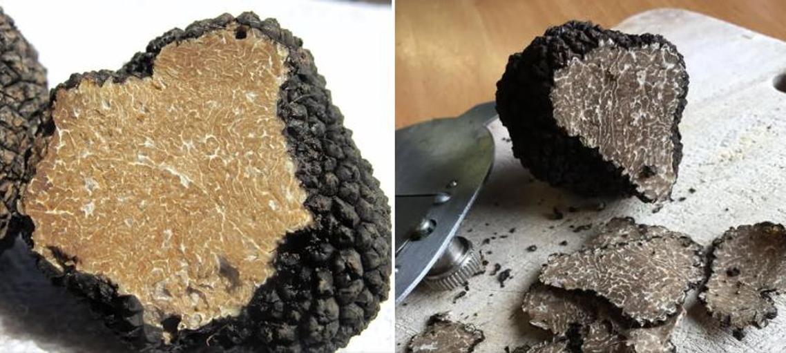 Au recoltat ilegal 18 tone de trufe fiind amendați cu 80.000 de lei în județul Hunedoara