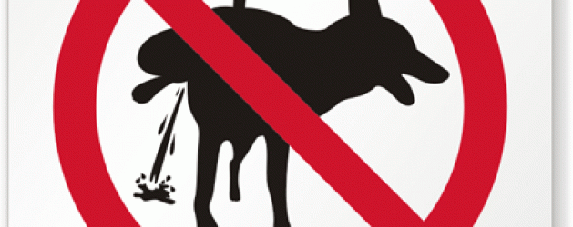 ”Cum îți permiți…?!”