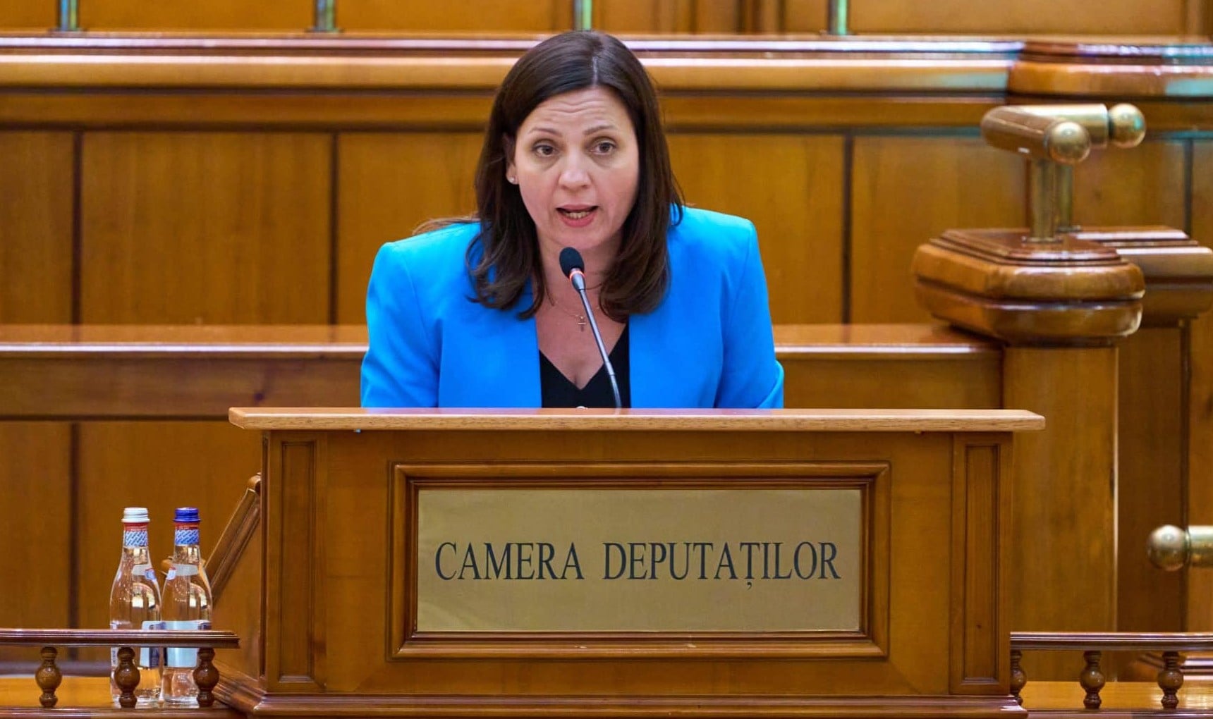 Ionelia Priescu, deputat AUR: ”România rămâne vulnerabilă energetic din cauza politicilor trădătoare ale guvernelor PSD-PNL!”