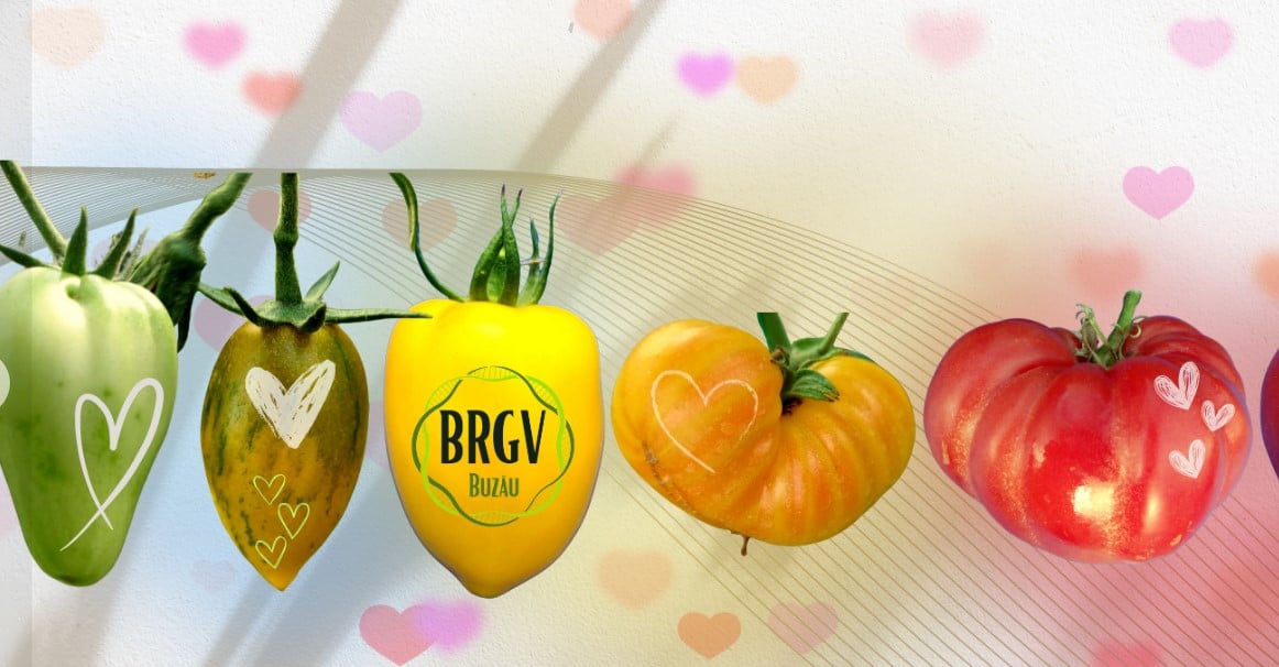 Campanie BRGV: Au cerut semințe, dar le-au refuzat