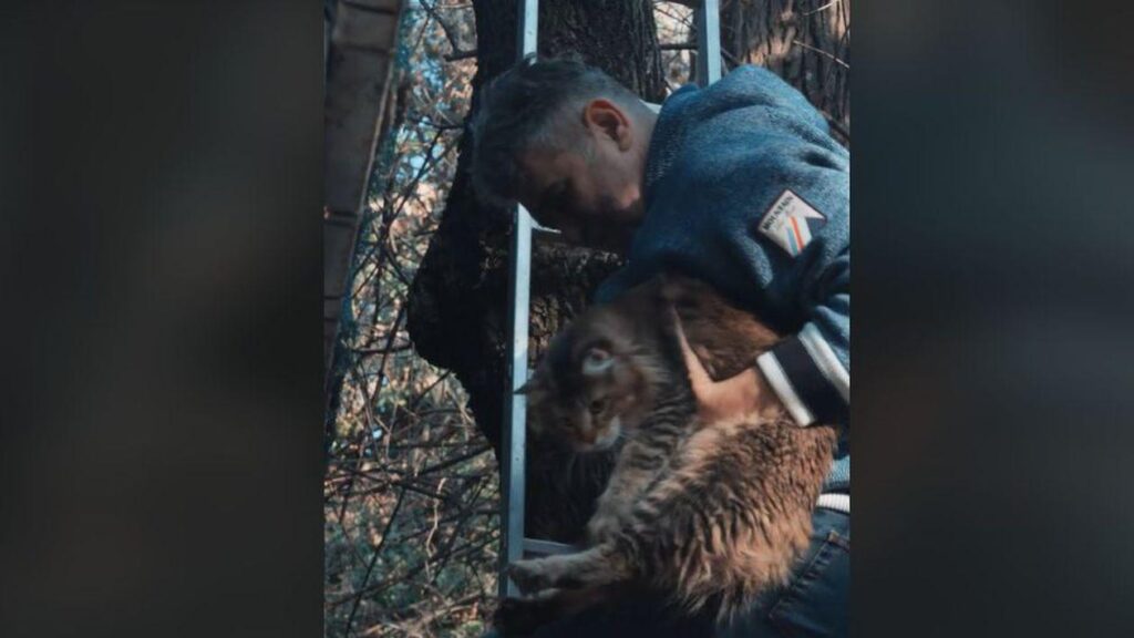 Ciolacu le-a arătat pisica