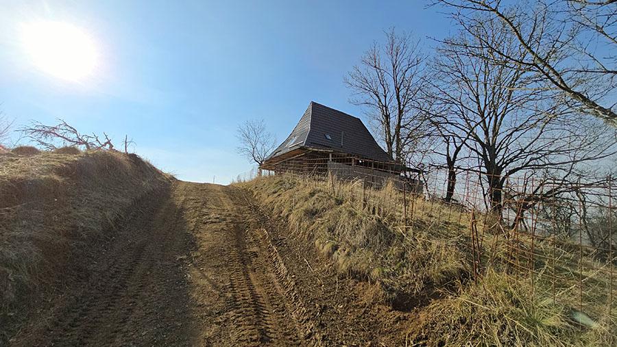 Mizerii în Dumbrava minunată