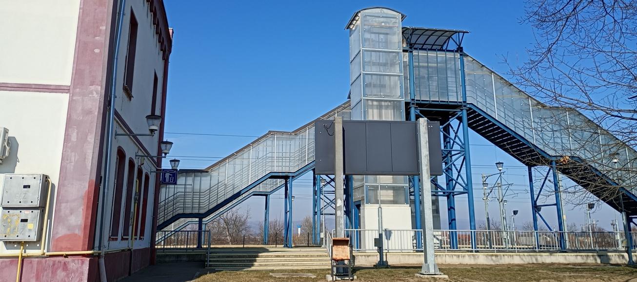 Mâța moartă din gară