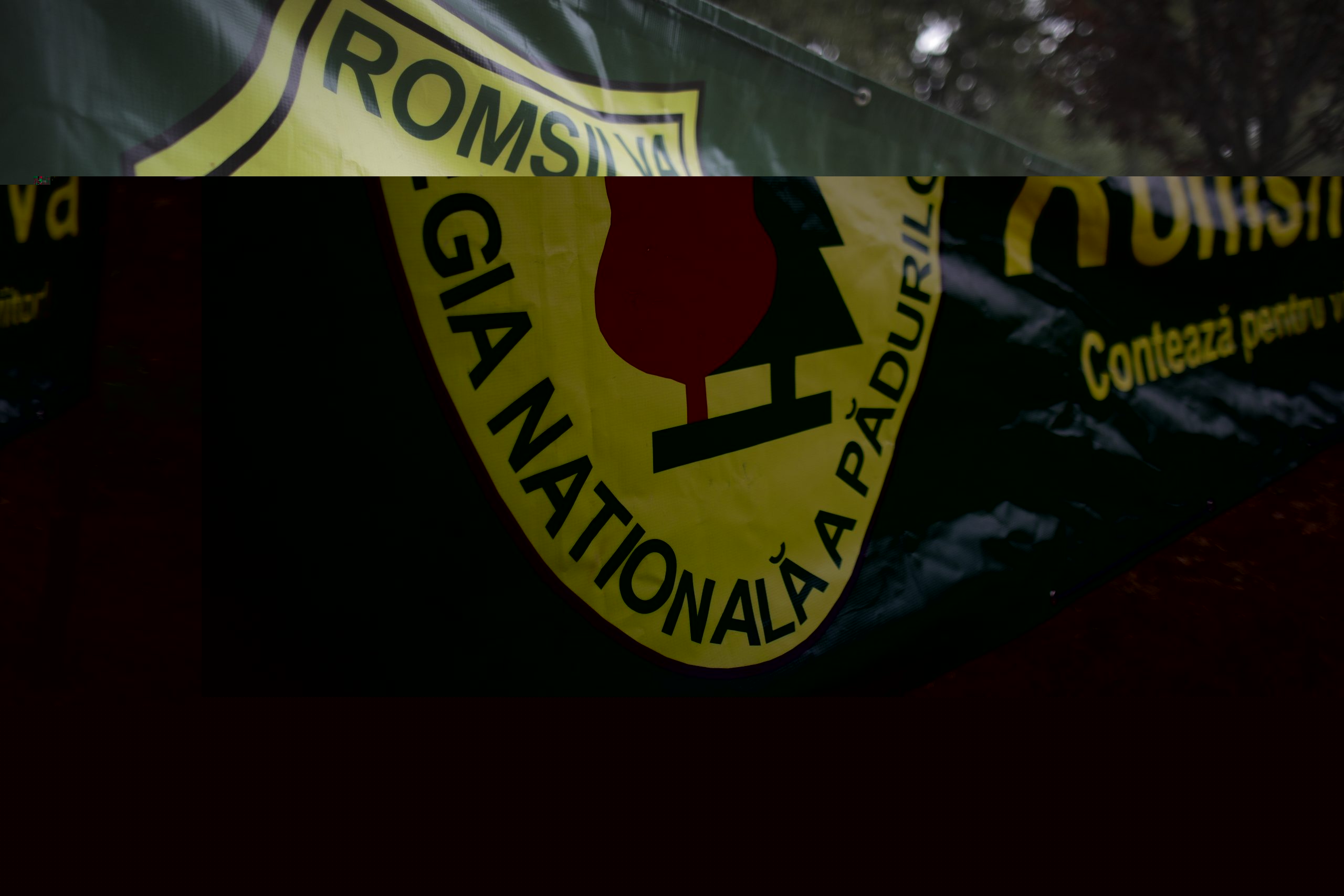Romsilva răspunde acuzaţiilor ministrului Diana Buzoianu