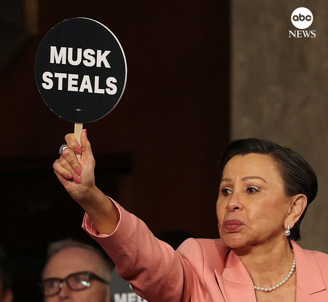 Imagini de la protestul din Congres: „Musk fură”
