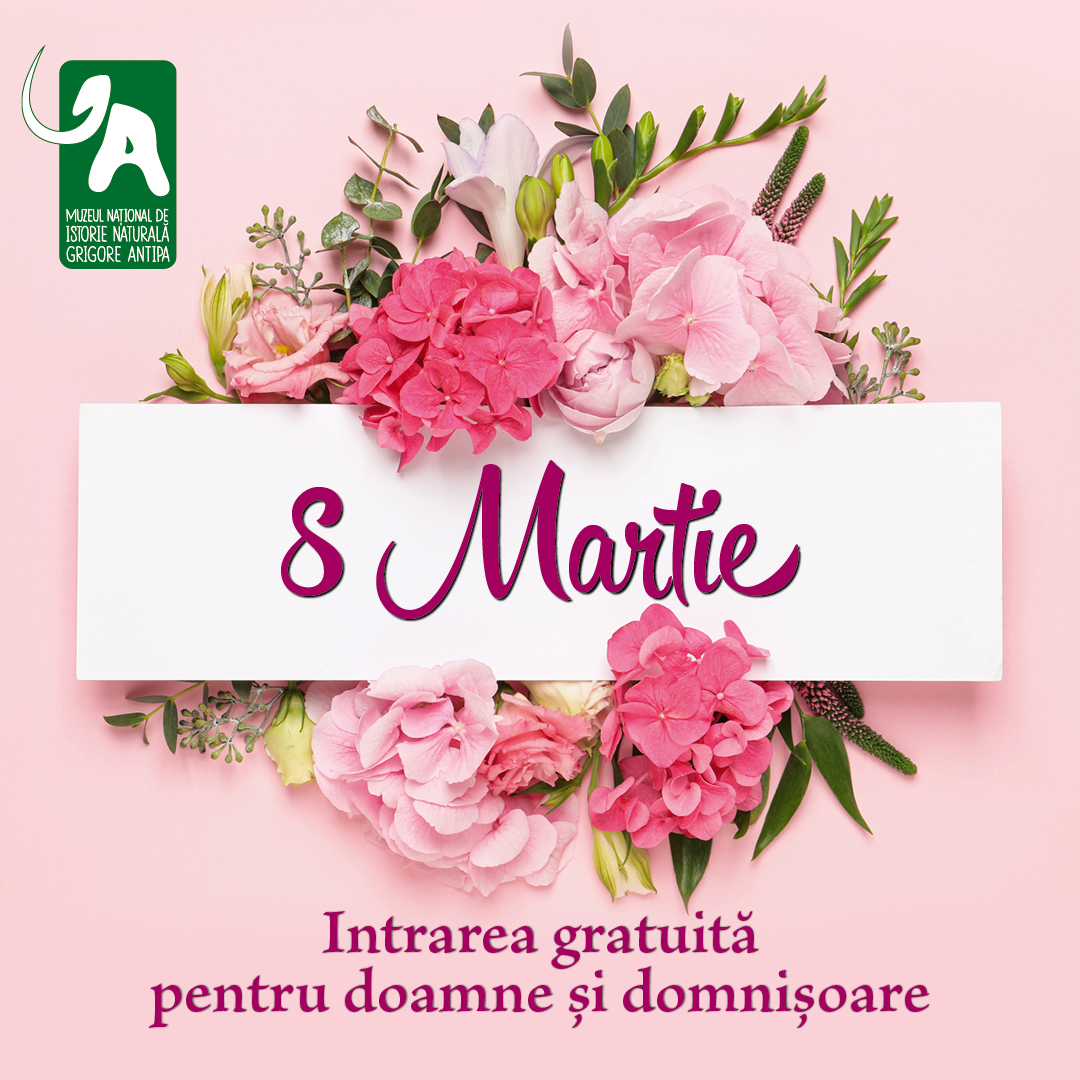 Gratis pentru doamne la muzeu