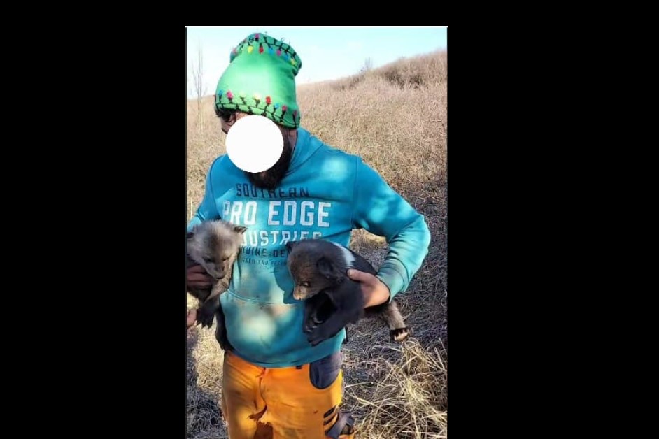 Dosar penal pentru că a scos doi ursuleți din bârlog