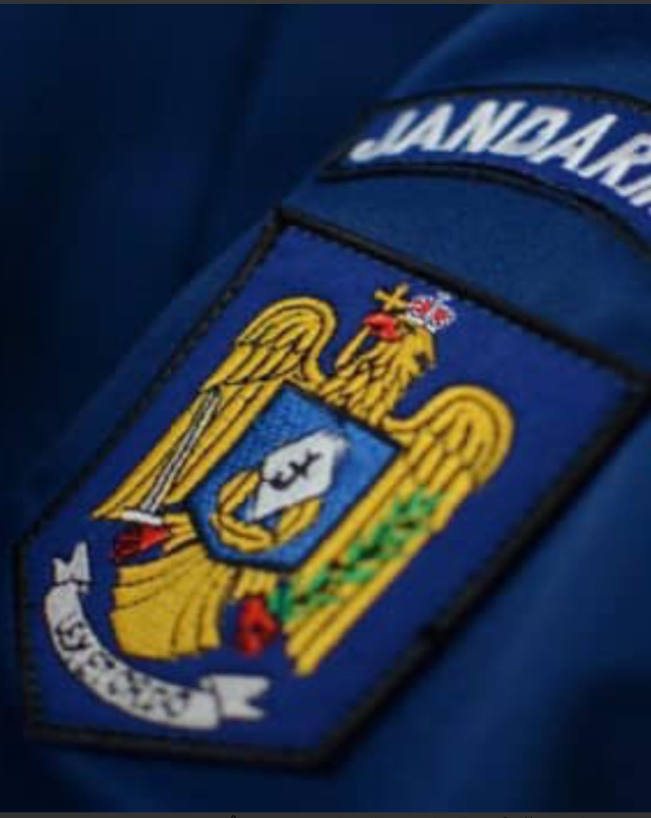 Mama și doi copii, cetățeni olandezi, salvați de jandarmi VIDEO