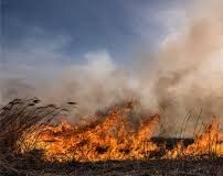 Tren oprit din cauza unui incendiu