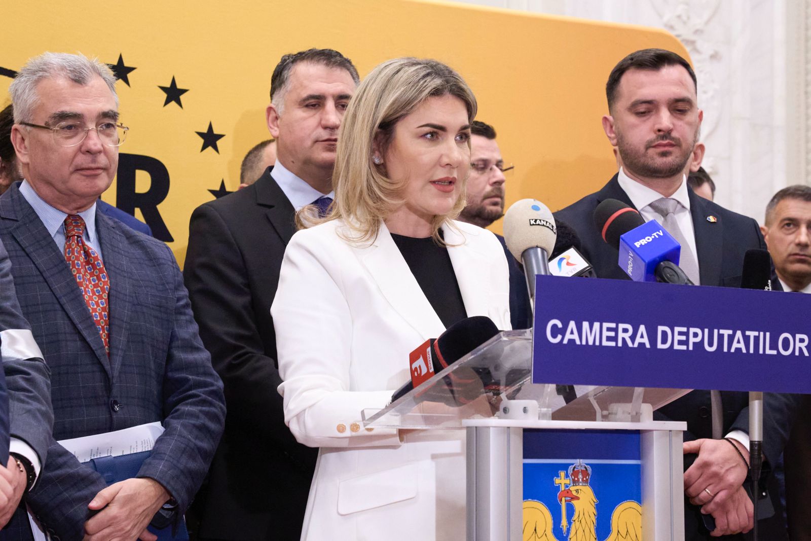 Funcționarea CCR ar putea fi modificată