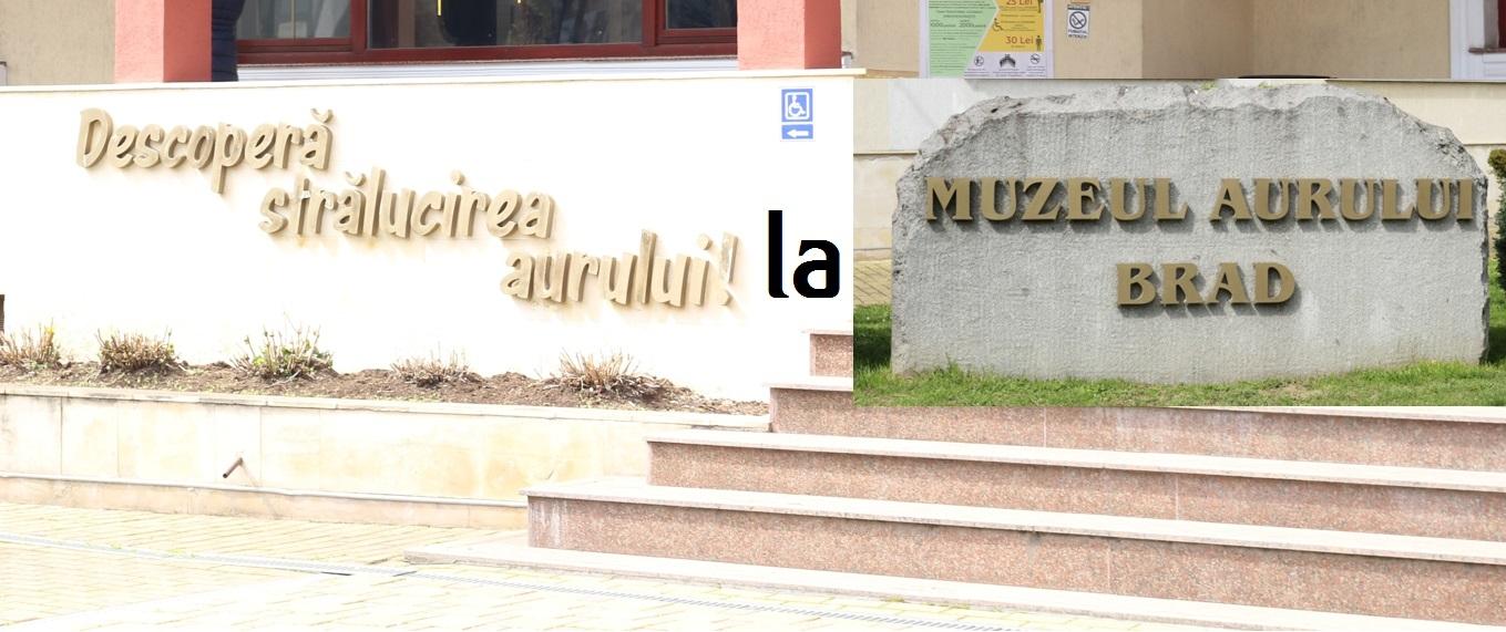 În căutarea aurului la Muzeu