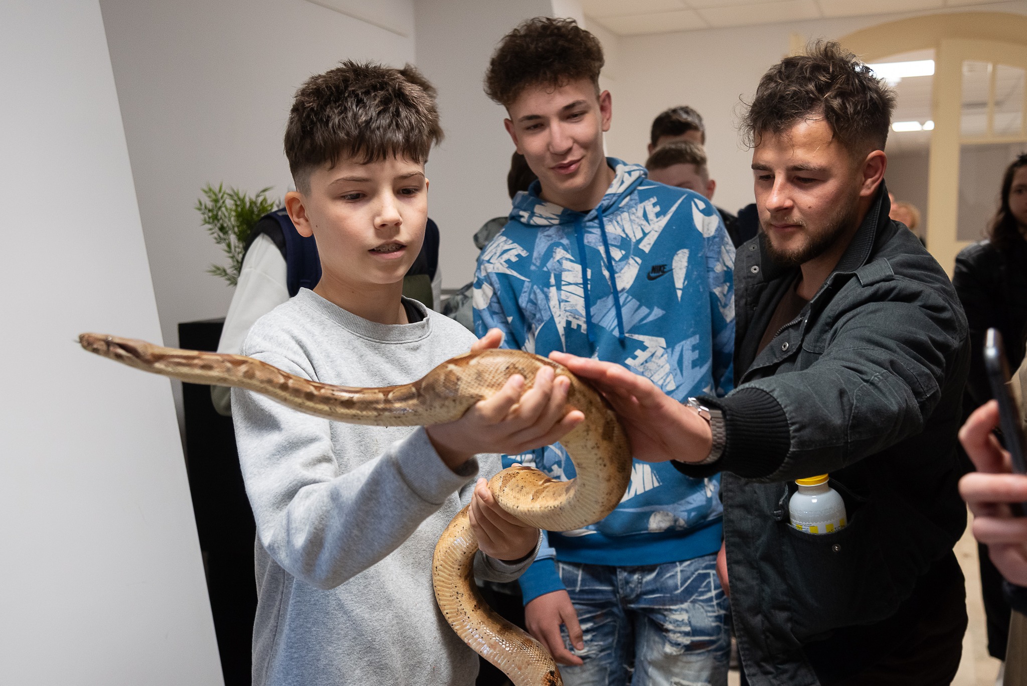 Colecționar de reptile la 11 ani