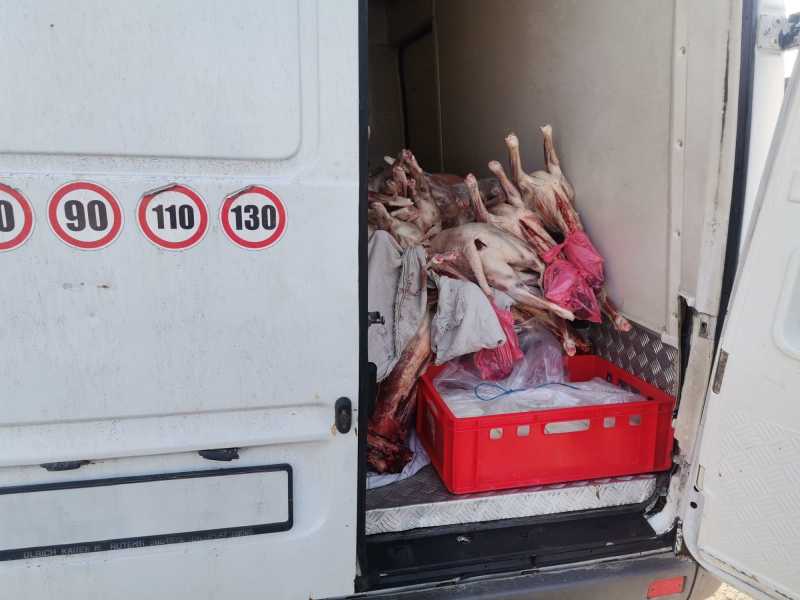 Carne de miel oprită la intrarea în București