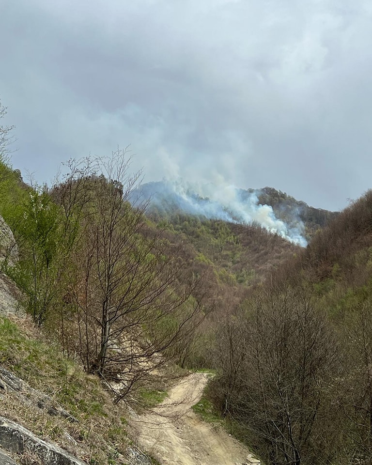 Incendiu de vegetație scăpat de sub control