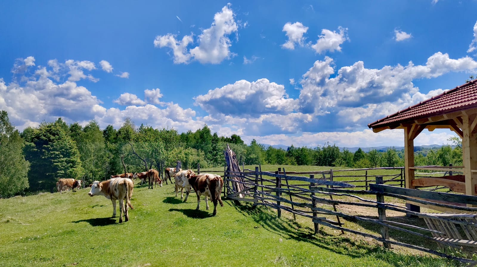 De ce iubesc Platoul Luncanilor?