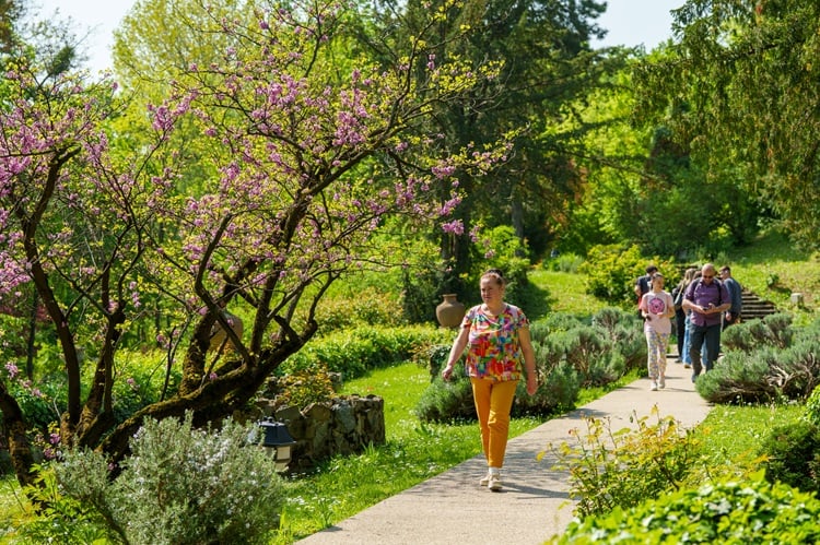 Bolojan și colegii săi, grădinarii Cotroceniului
