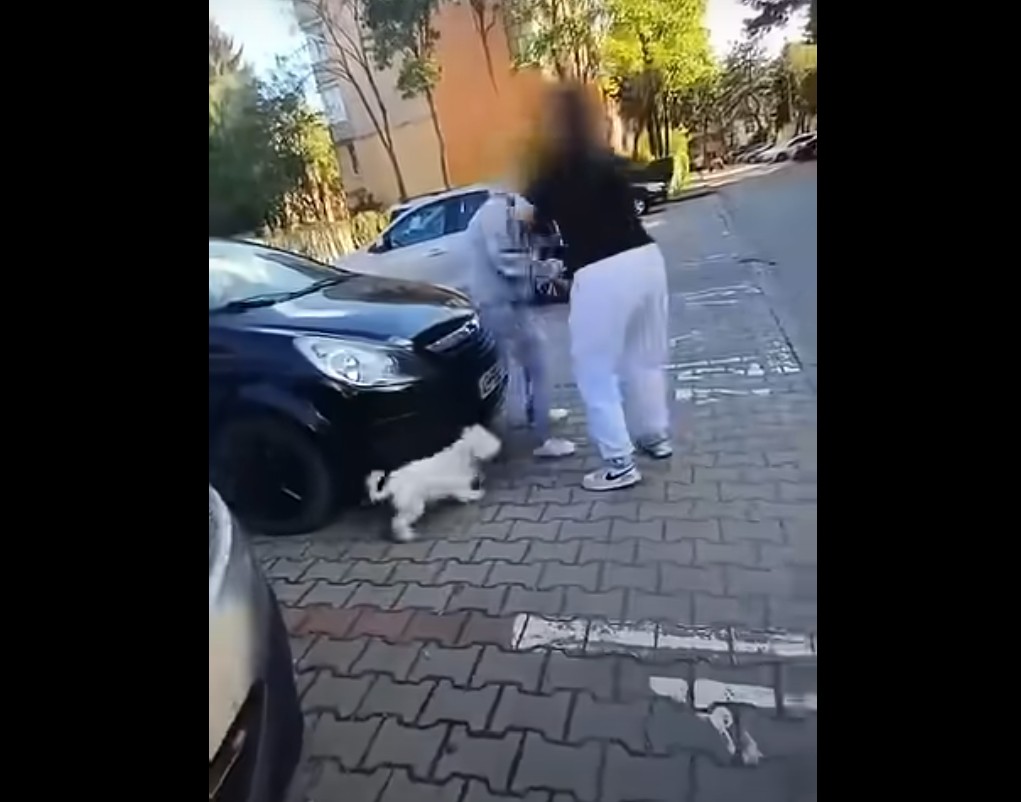 La 12 ani, pe mâna Poliției după ce a bătut o fată (video)