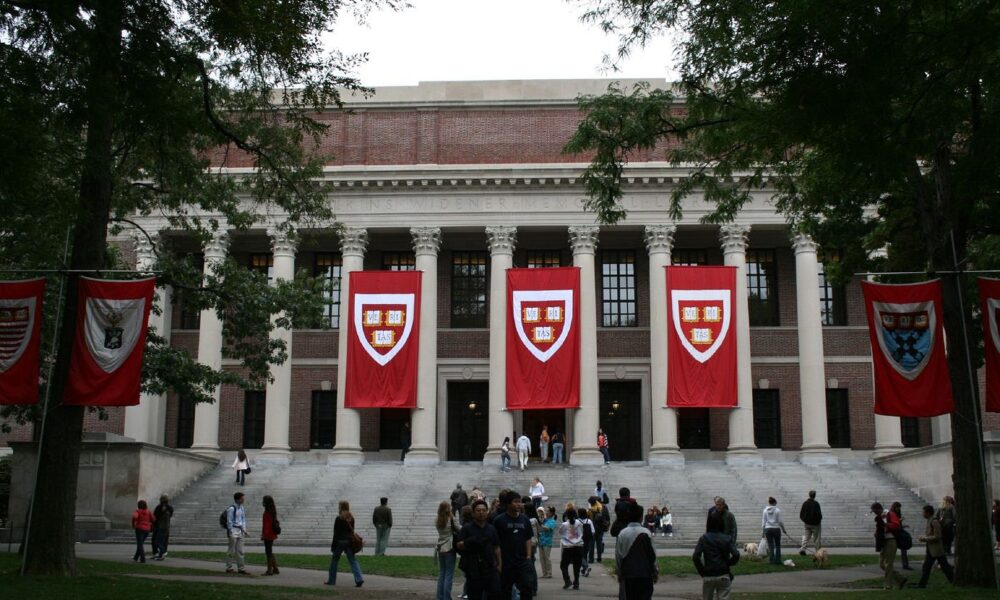 What happens to Harvard Romanian students