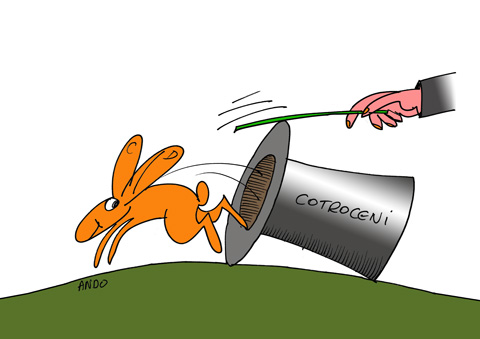 Iepurele prezidențial