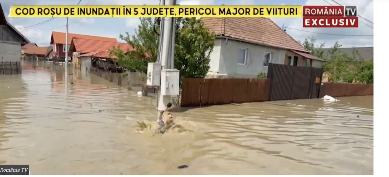 Reporteră la RTV, înghițită de ape (video)