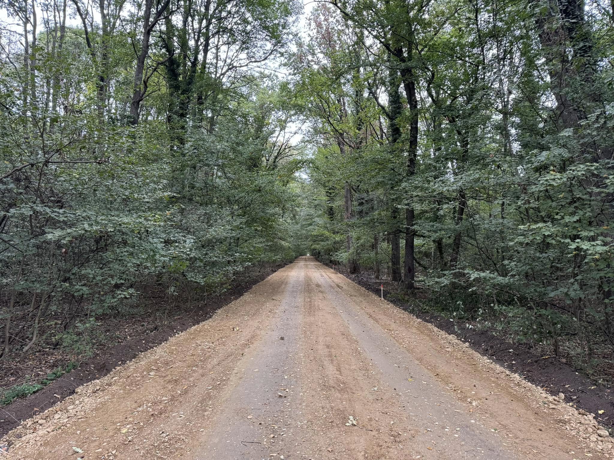 Scandalul drumului din Pădurea Băneasa. Fechet amenință cu demiteri