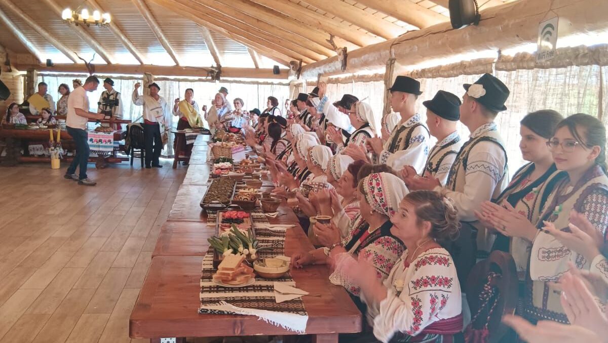 Sarmale cu e-coli pentru artiști