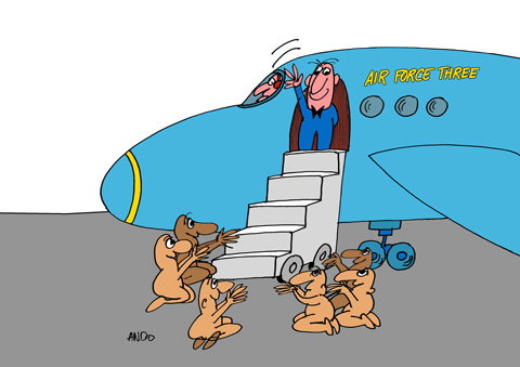 Sindromul marelui licurici