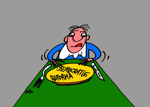 Alimentație rațională