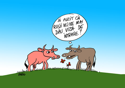 Embargoul bată-l vina