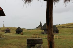 Povestea unei pl&#259;cinte cu br&acirc;nz&#259; &#537;i ceap&#259; verde&nbsp;&nbsp;