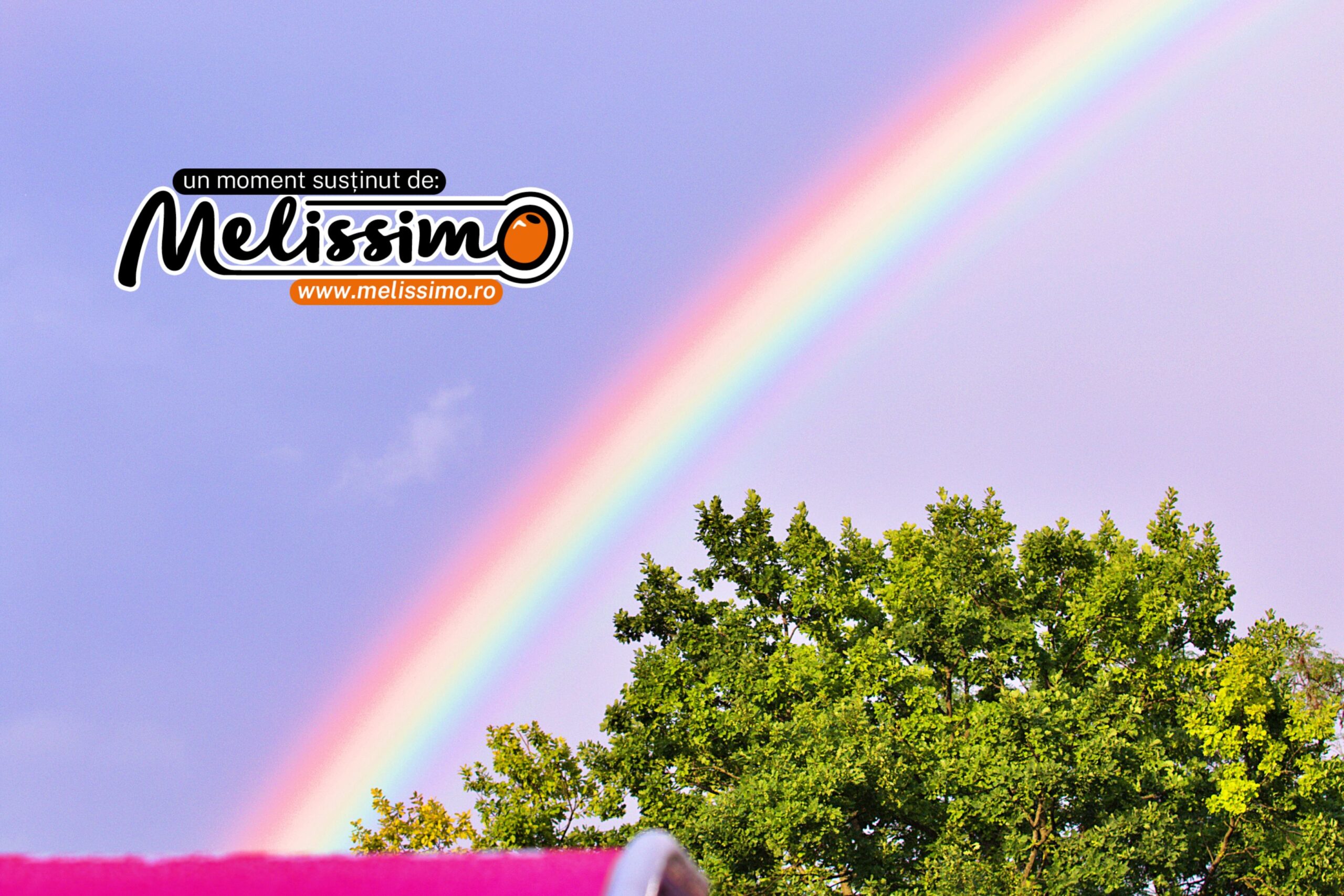 Irina Begu s-a calificat în finală, Sorana Cîrstea, învinsă (foto)