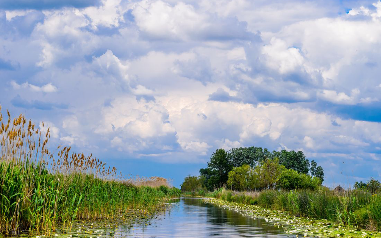 Amazonul Europei e la noi acasă – și încă nu ai fost? Descoperă Delta Dunării vara aceasta!