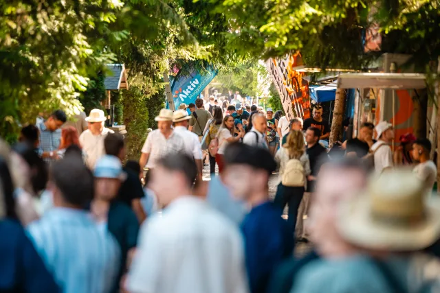 Viktor Orban, la Băile Tușnad. Câți vin să-i audă discursul, cine are interzis