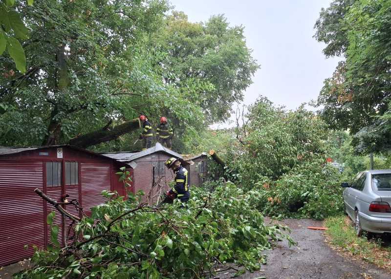 Fenomenele extreme, viituri și copaci căzuți