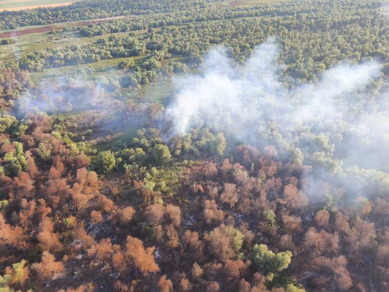 Intervenție aeriană la Tulcea