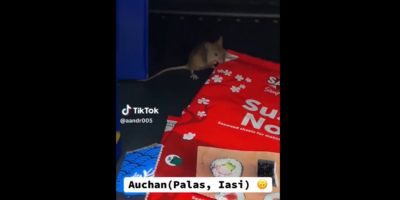 Șoarece în rafturile de la Auchan (video)