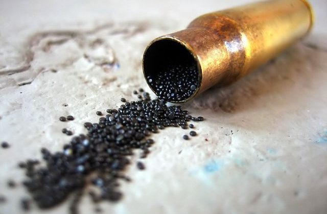 Presa străină: Fabricile de praf de pușcă vor transforma Bulgaria și România