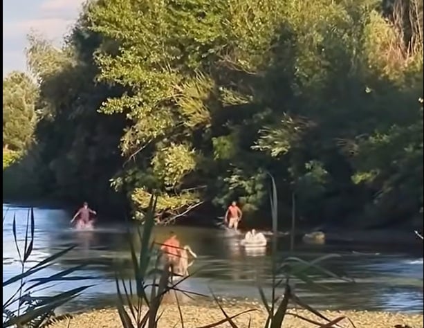 Gianina Șerban: „AUR s-a opus și se opune în continuare planului de a aduce migranți ilegali în România” (video)