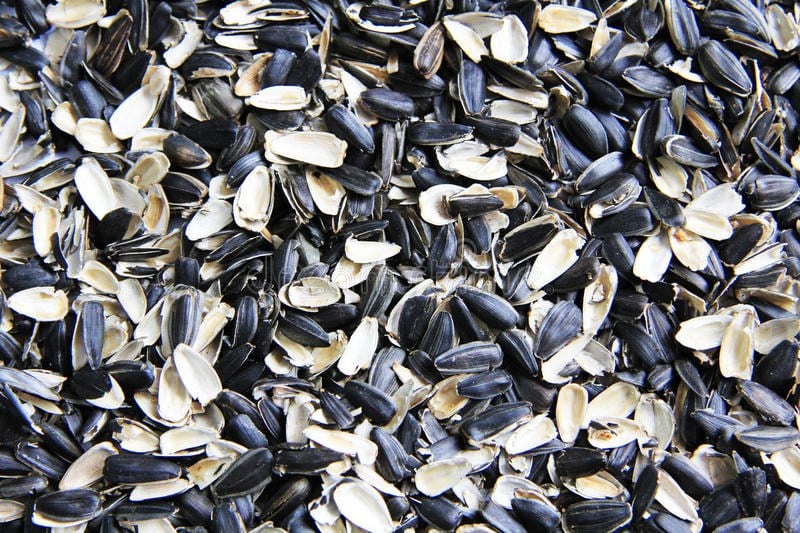 Un club de fotbal interzice consumul de semințe pe stadion