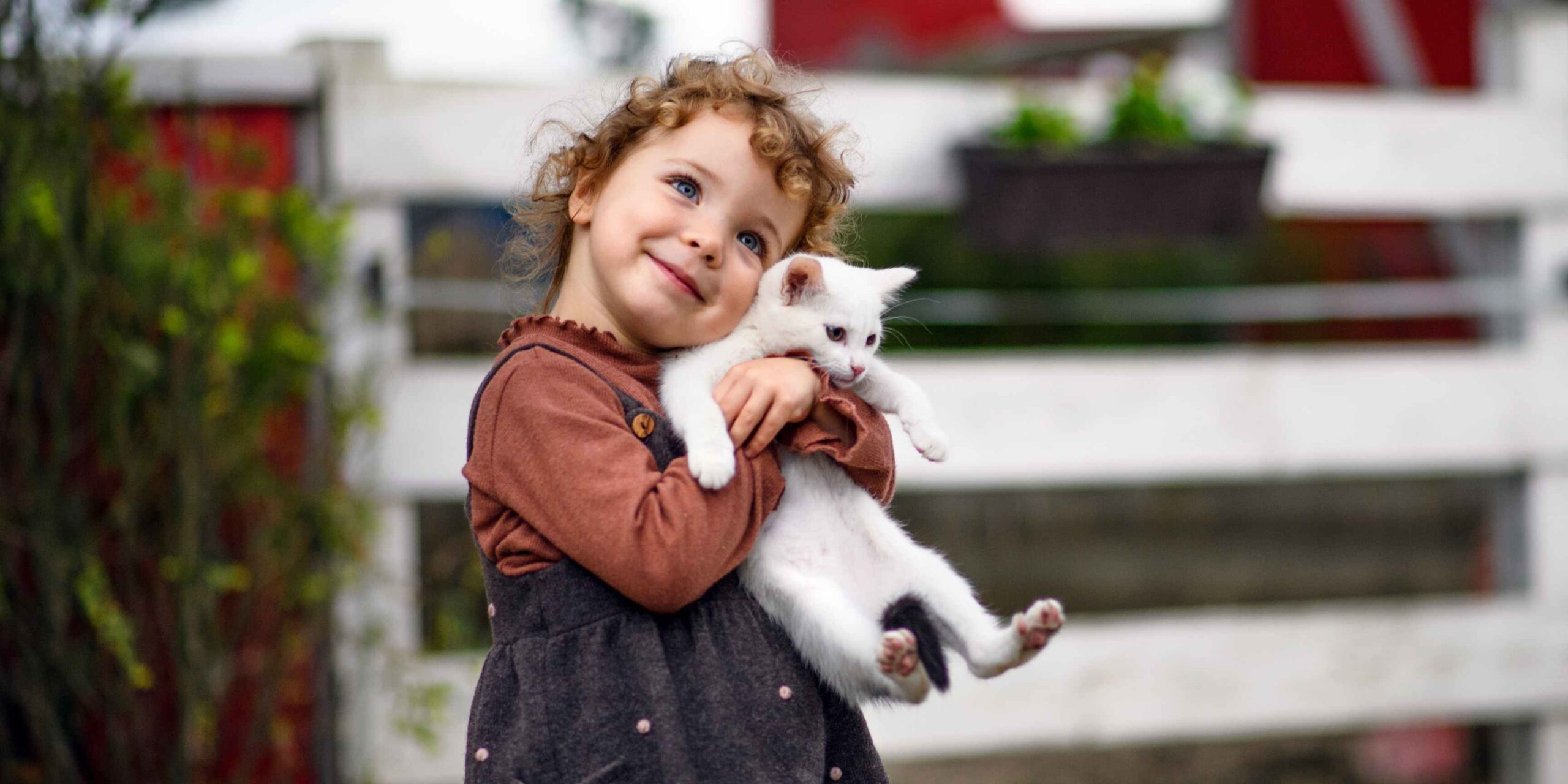 Ce înseamnă „Junior/Kitten” pe eticheta de hrană pentru pisici?