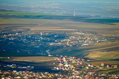 Politician AUR, în stare critică. Avion prăbușit în Iași