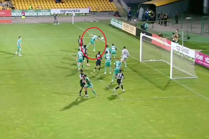 Blănuță își taie singur craca