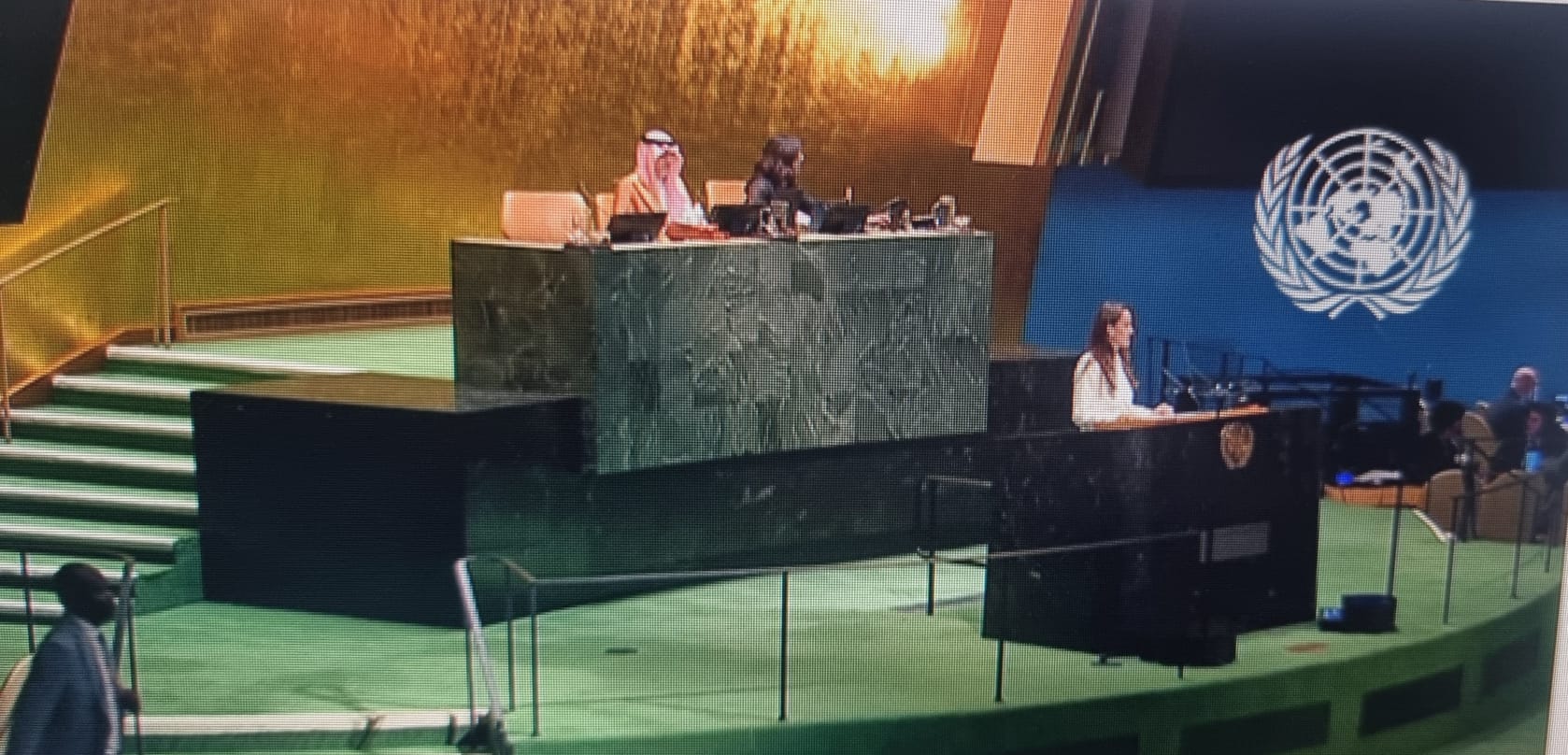 Oana Țoiu, discurs ”controversat” la ONU