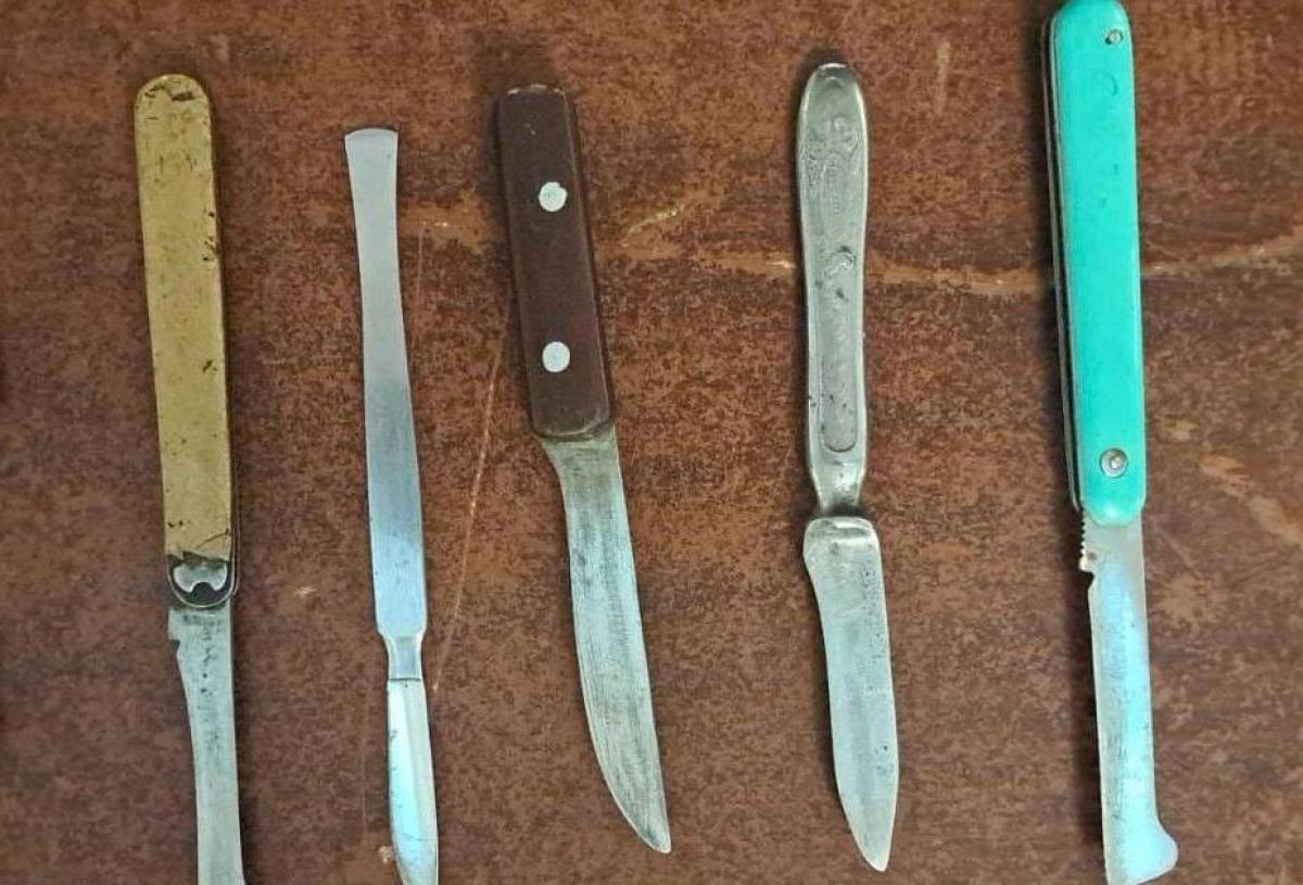 Femeia cu cuțitele la Parlament: ”Polițiștii doar m-au interogat”