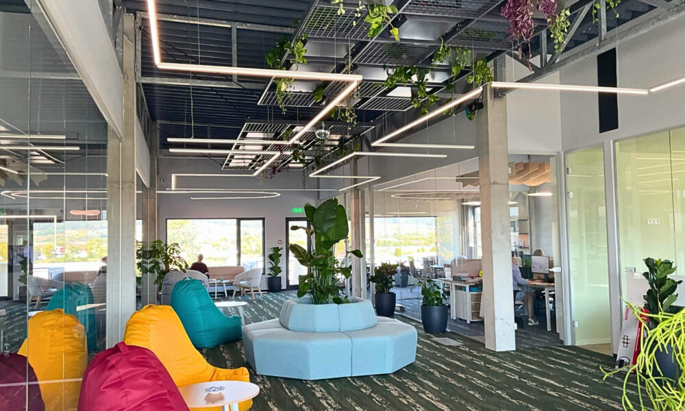 De ce marile companii își transformă birourile în grădini urbane? Trendul verde care ajunge și în România