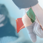 Italia, femicid, lege, violență împotriva femeilor, Giorgia Meloni, România, agresori, victime, 25 noiembrie, Andreea Groenendijk-Deveau, Spune lucrurilor pe nume, violență, violență domestică, Poliția Română