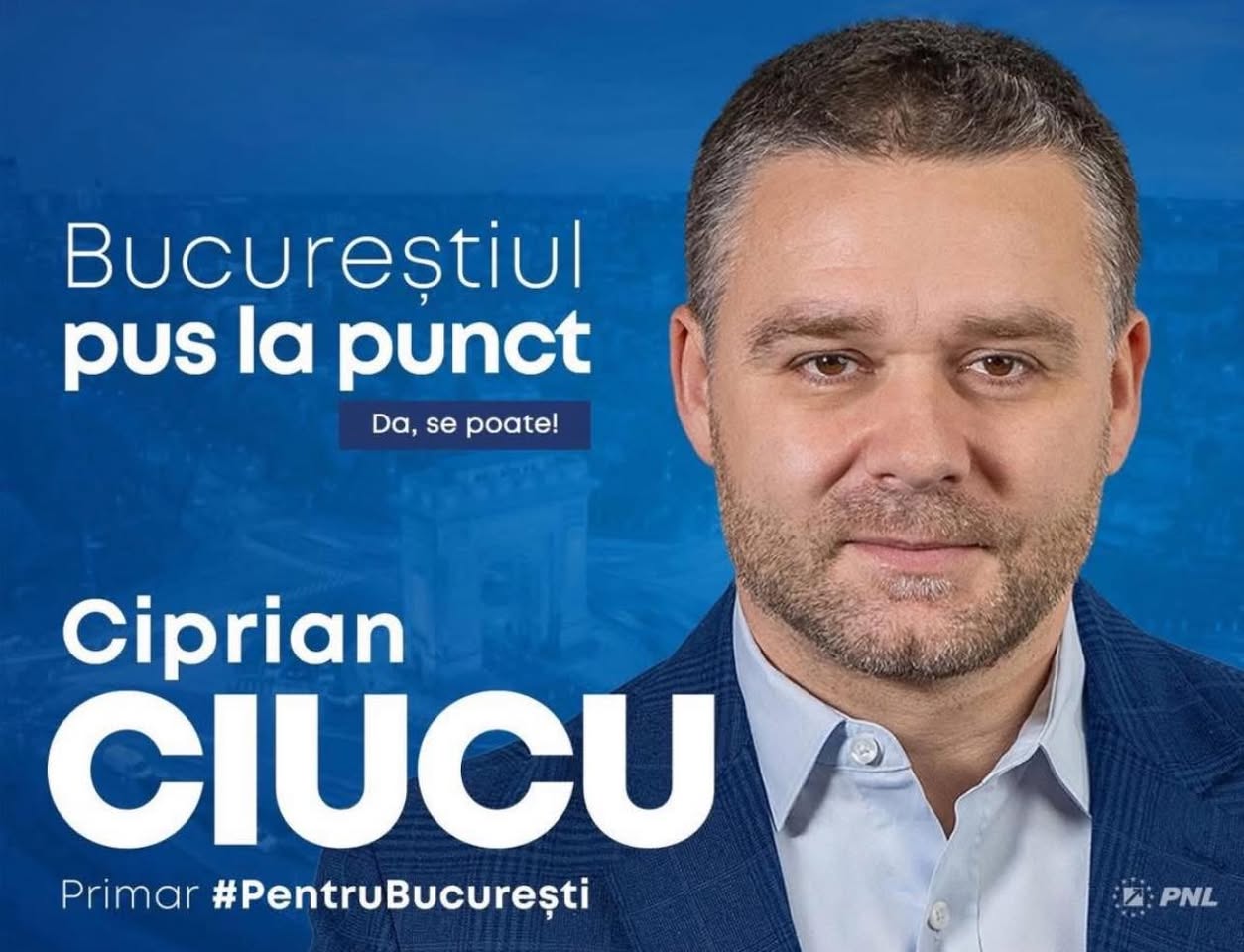 afișele electorale