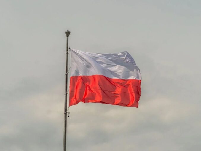 Polonia amână adoptarea monedei euro