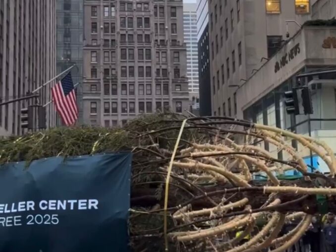 Bradul de Crăciun de la Rockefeller Center a ajuns la New York