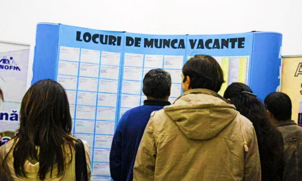 De ce nu-și găsesc tinerii de muncă